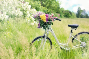 bicycle with a basket full of flowers in a field